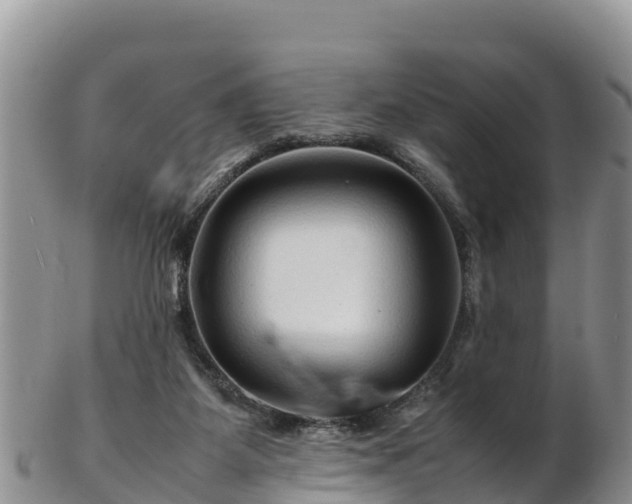 X0000103310115200809051553
