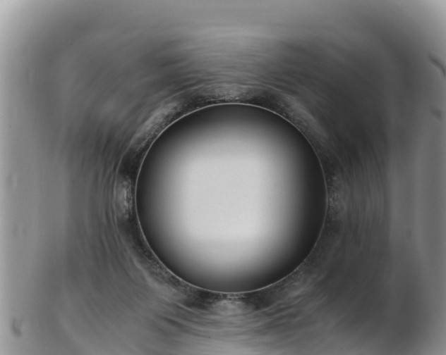 X0000103310119200809051553