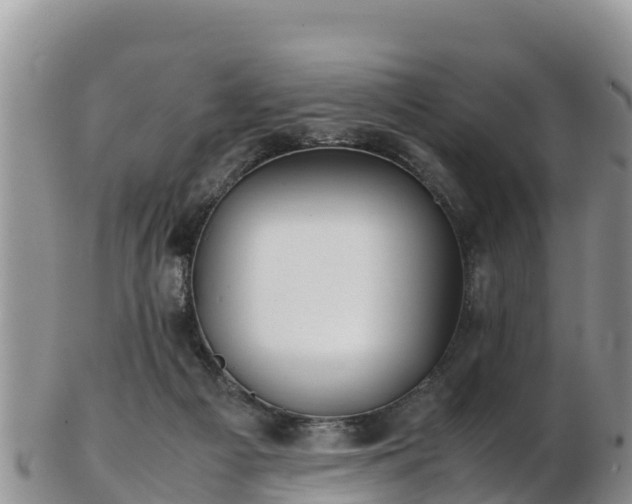 X0000103310121200809051553
