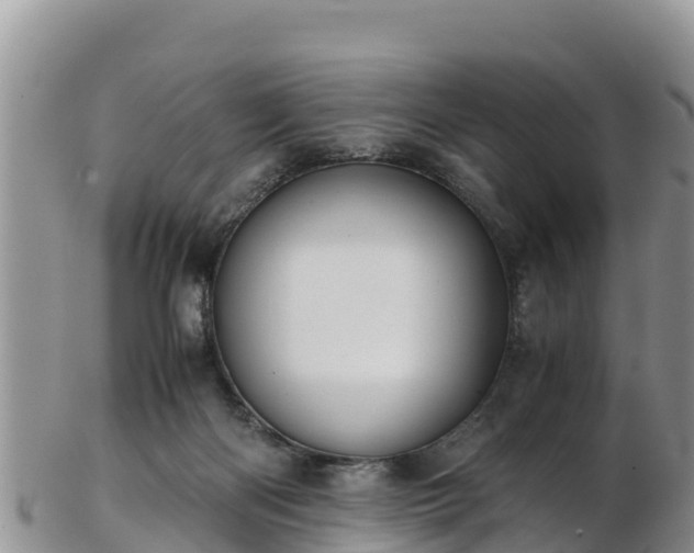 X0000103310122200809051553