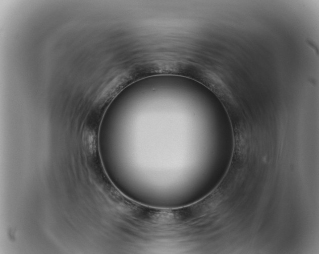 X0000103310123200809051553