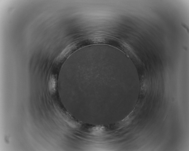 X0000103310124200809051553
