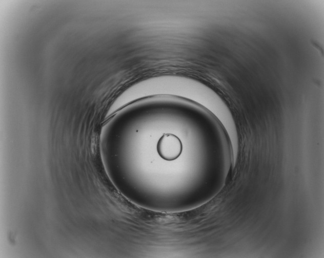 X0000103310125200809051553