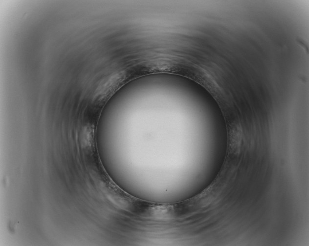 X0000103310126200809051553