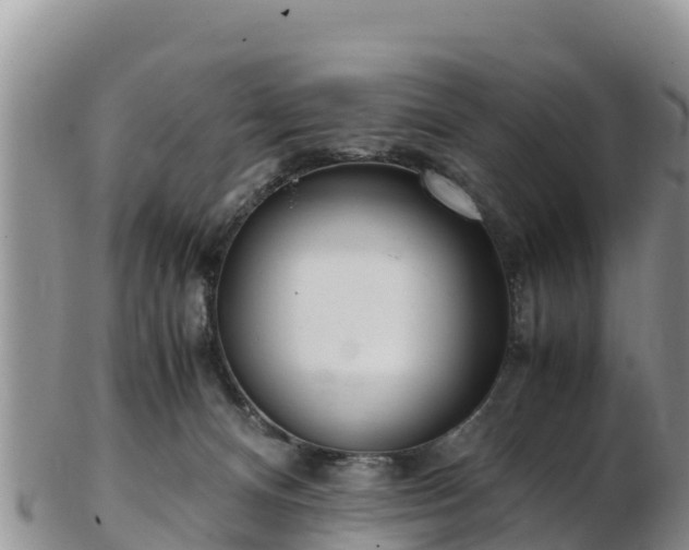 X0000103310128200809051553