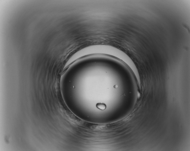 X0000103310132200809051553