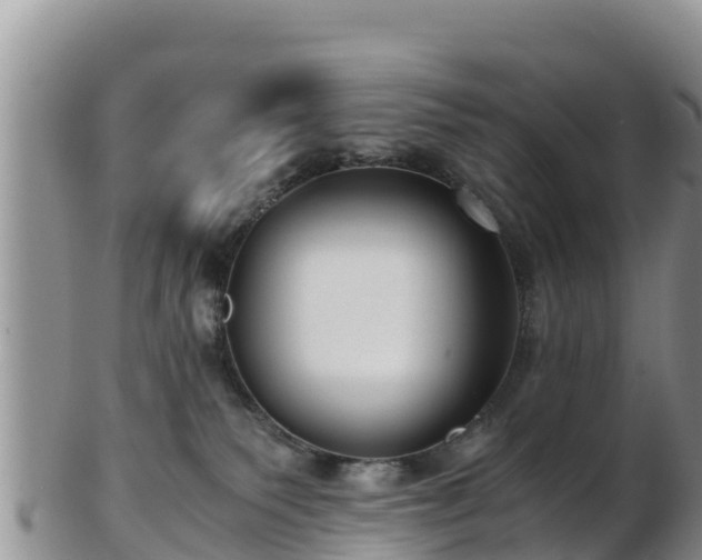 X0000103310135200809051553