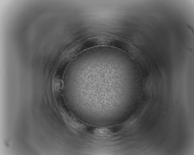 X0000103310137200809051553