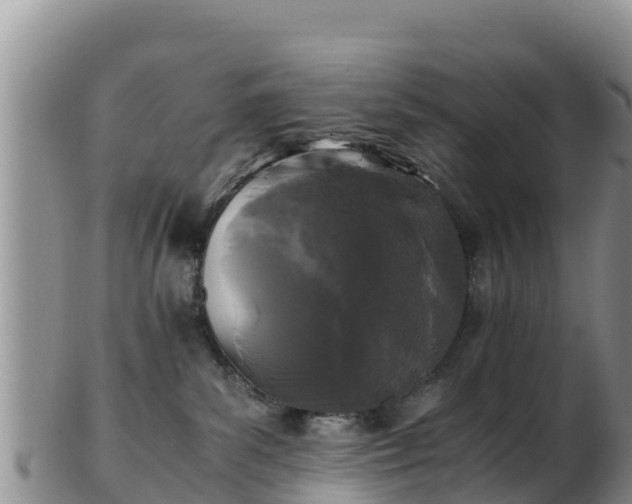 X0000103310139200809051553