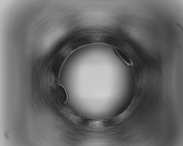 X0000103310140200809051553