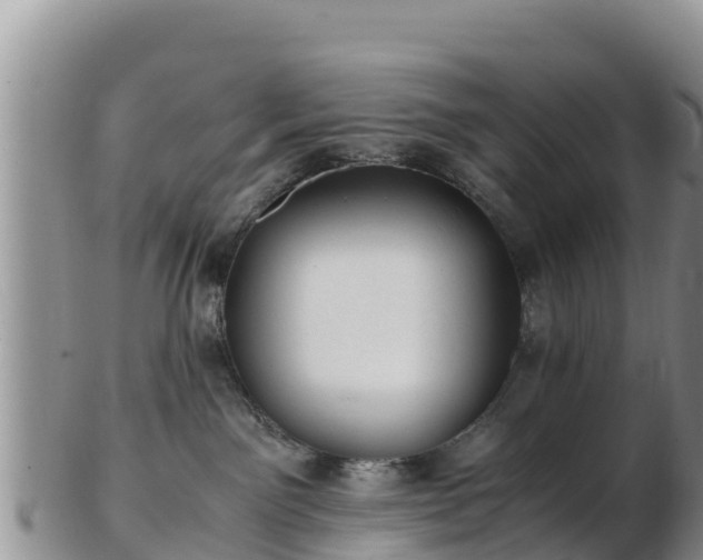 X0000103310141200809051553