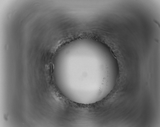 X0000103310144200809051553