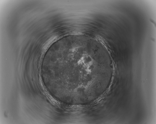 X0000103310145200809051552