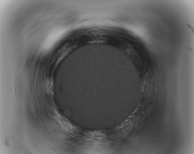 X0000103310146200809051552