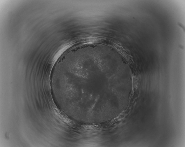 X0000103310147200809051552