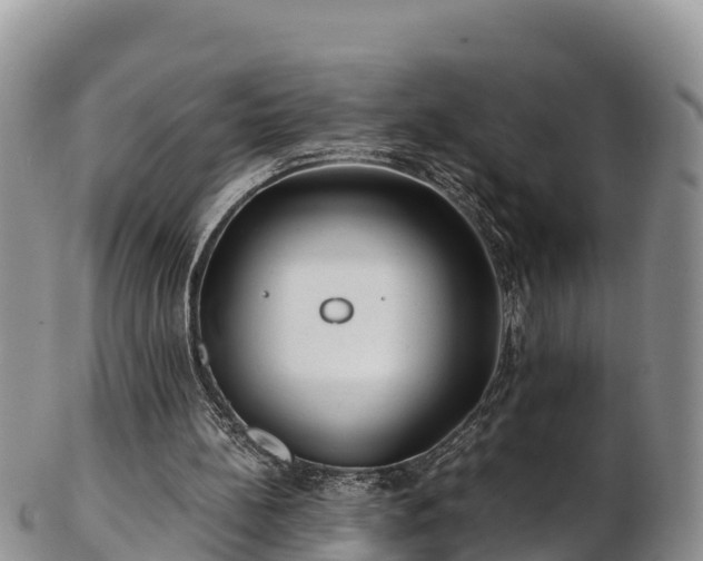 X0000103310148200809051552