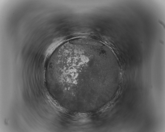 X0000103310149200809051552