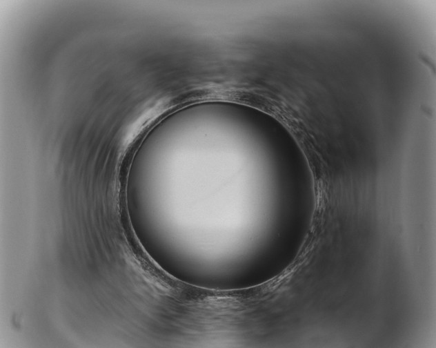 X0000103310150200809051552