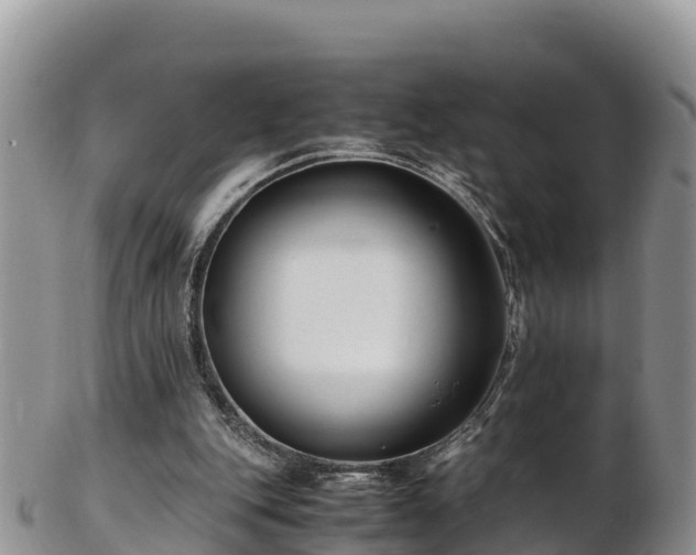 X0000103310151200809051552