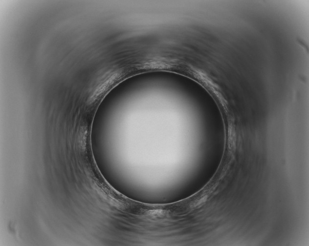 X0000103310153200809051552