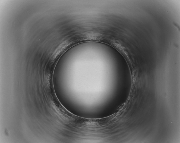 X0000103310154200809051552