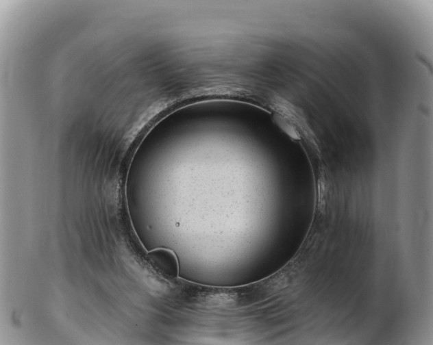 X0000103310156200809051552