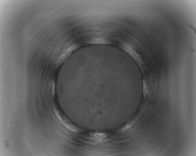 X0000103310157200809051552