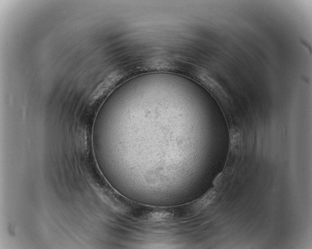 X0000103310158200809051552