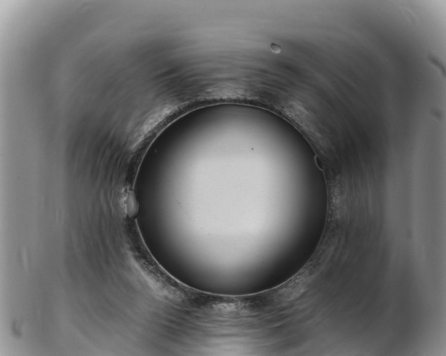 X0000103310160200809051553