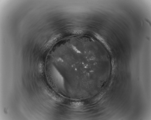 X0000103310161200809051553