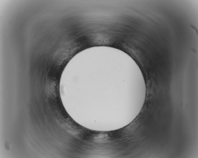 X0000103310162200809051553