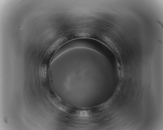 X0000103310163200809051553