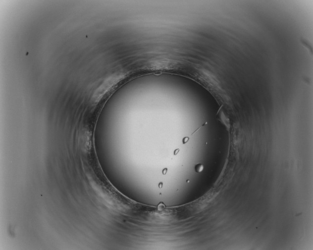 X0000103310164200809051553