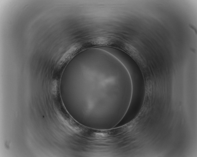 X0000103310167200809051553