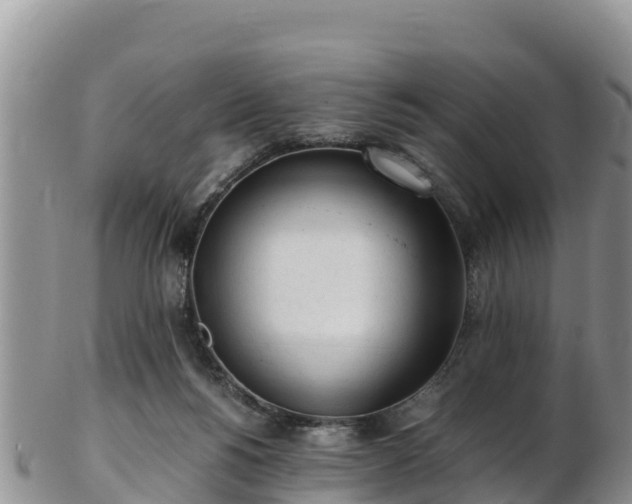 X0000103310168200809051553