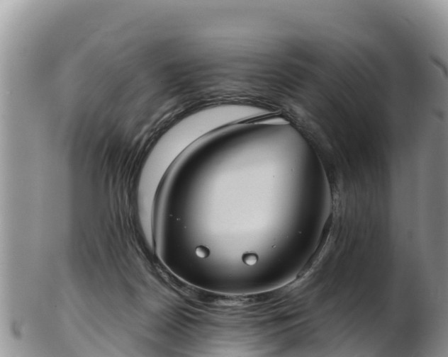 X0000103310170200809051553