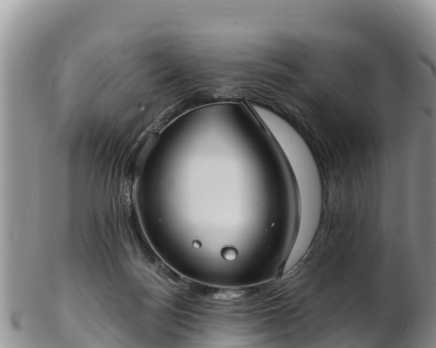 X0000103310172200809051553