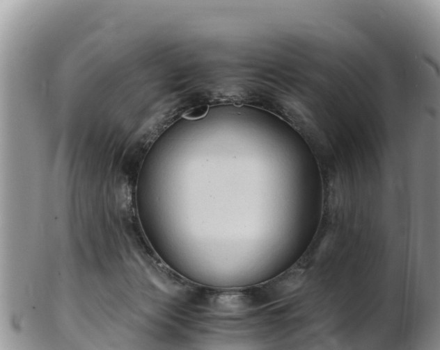 X0000103310173200809051553
