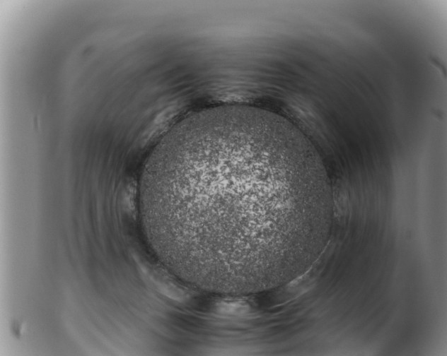 X0000103310175200809051553