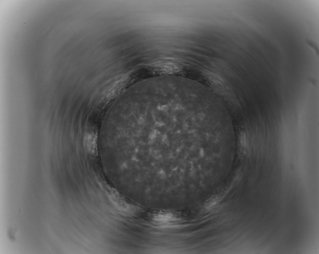 X0000103310177200809051553