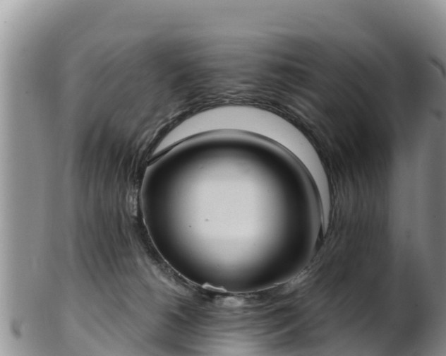 X0000103310180200809051553