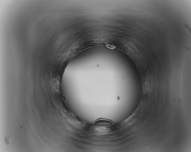 X0000103310183200809051553