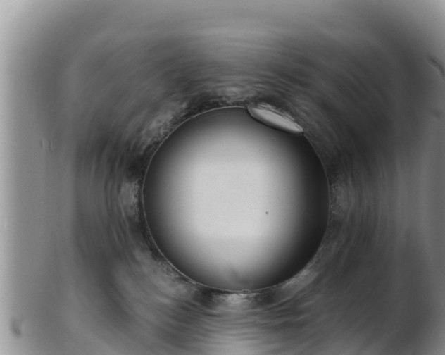 X0000103310184200809051553