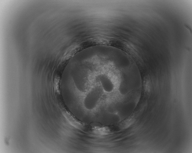 X0000103310185200809051553