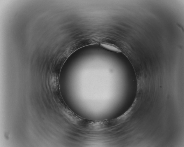 X0000103310186200809051553