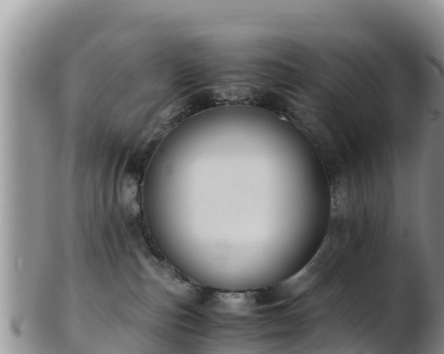 X0000103310187200809051553