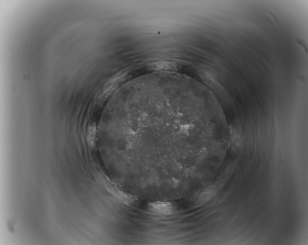 X0000103310189200809051553
