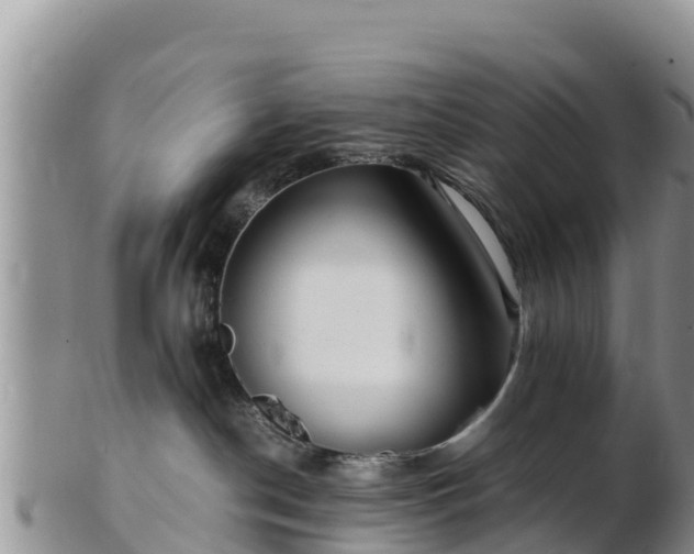 X0000103310190200809051553