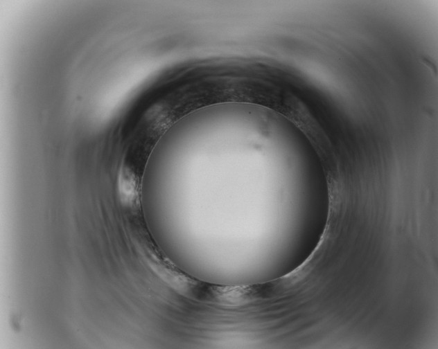 X0000103310191200809051553