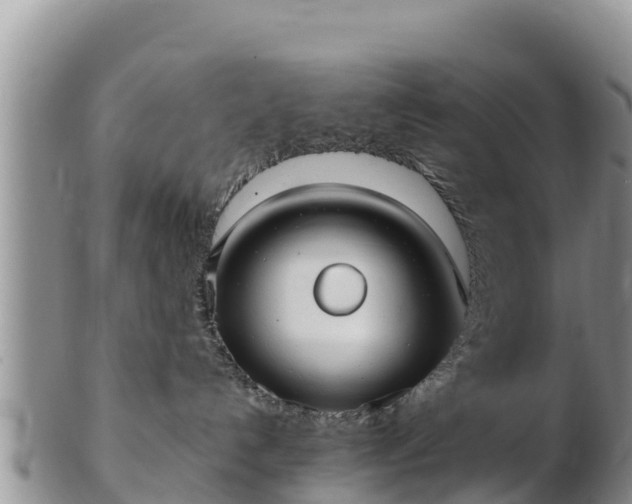 X0000103310192200809051553